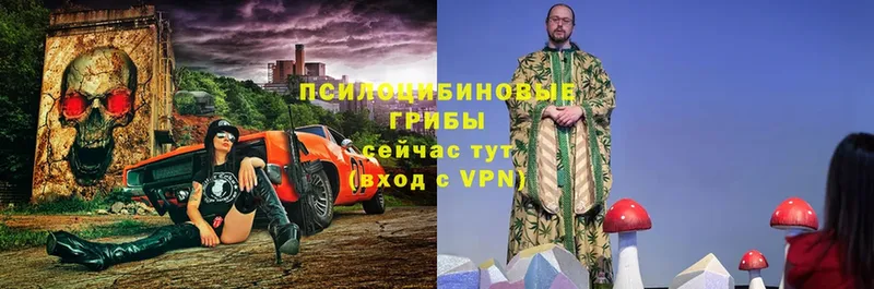 гидра сайт  Клинцы  Псилоцибиновые грибы прущие грибы  закладки 